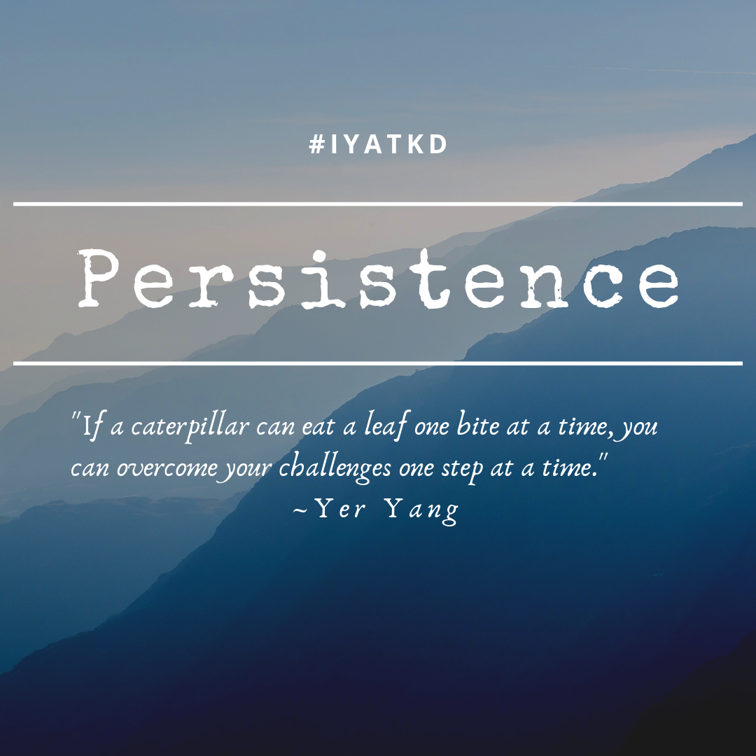 Persistence перевод. The Persistence. Persistence meaning. Persistence Motivation.